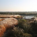 부락산 자전거도로 이미지