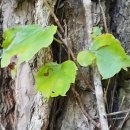 송담2로 이미지