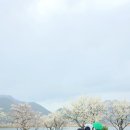 용당마을회관 이미지