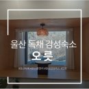 가지산수영장 | [울산여행] 울산 경주 독채 풀빌라 수영장 감성숙소 오릇 청실ㅣ엄마랑 단둘이 조용한 계곡뷰 힐링 여행