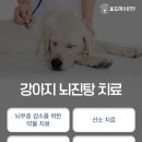 석적동물병원 이미지