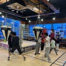 NOBLE Boxing 이미지