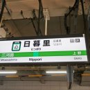 와사비 하우스(Wasabi House) 이미지