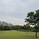 공항교강변공원 이미지