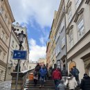 관저성 | 🌉 프라하성 낮과 밤 완전정복! 성비투스대성당까지 발품 후기