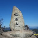 도래재로 Daum카페
