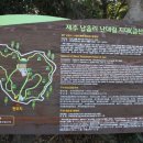 제주 납읍리 난대림 이미지