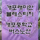 개포래미안블레스티지 개포중학교 버스정류장①