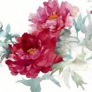 모란이피기까지 이미지