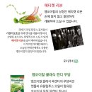 레몬 | 목캔디 엠오이칼 무가당 캔디 레몬 내돈내산 후기 +가격 영양성분