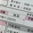 빠르게 정리해보는 가을