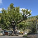 화순 우체국 앞 이미지