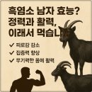성이 염소농장 | 흑염소 효능, 남자 활력 핵심템! 남양주 초코농장