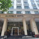 아나톨레 이미지