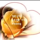 홍성(목포) 이미지