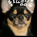 뭉치소품점