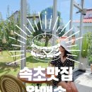 완앤송 | 속초여행 마지막 날, 최애 맛집 완앤송 대패삼겹 누들샐러드 후기