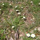 손앤이한의원 이미지