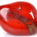 제스퍼(JASPER) 이미지