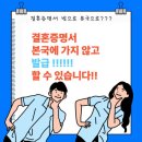 해냄 행정사 사무소 이미지