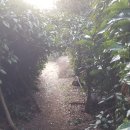 금식농장 이미지