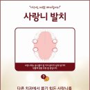 동래보스톤치과의원 이미지