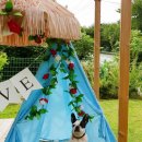 발라당눕스 이미지