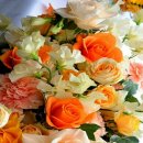 봄날태권도 이미지