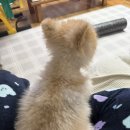 주안무인라면 | 5月