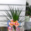 봉동뼈다귀 이미지