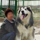바우 - 마포구 와우산로29라길 7 | 바우