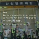 이거 순애 어떡함 진짜로… 이미지