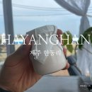 하양한 | [카페리뷰] 제주 구좌읍 오션뷰 맛집 / 한동리 디저트 푸딩 추천 하양한 솔직 후기