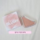 애니피그 | 품절 대란 클리오 아몬드로제 내돈내산 후기, 발색비교까지 (여쿨이 발라봤습니다)