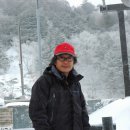황장군 Daum카페