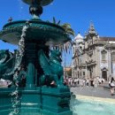 시장세탁 이미지