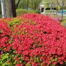 경복궁 행정사사무소 이미지