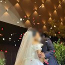 별동별 | 결혼식 본식 영상 DVD, 별동별 필름 결혼식 촬영 후기