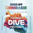 충주종합운동장 | 충주 다이브페스티벌 2025 | 감성 라인업+일정+후기까지 총정리