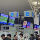 이레와 한국행 上 (+약간의 뱀부항공 비즈니스 후기)