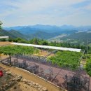 구름위의 산책 이미지