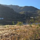 주암 오토캠핑장 이미지