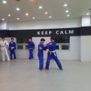 엠핏유도관 이미지