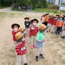 계룡산유아숲체험원 이미지