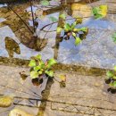 세정행정사사무소 이미지