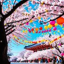 세종뷰티의원 이미지