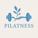 필라트니스 이미지