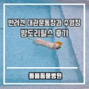 방도리힐스A | 강아지 독채 수영장운동장 방도리힐스 방문후기 / 경기도 독채수영장 [돌봄동물병원]