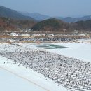 인제12-3 이미지