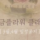 플라워에듀 이미지